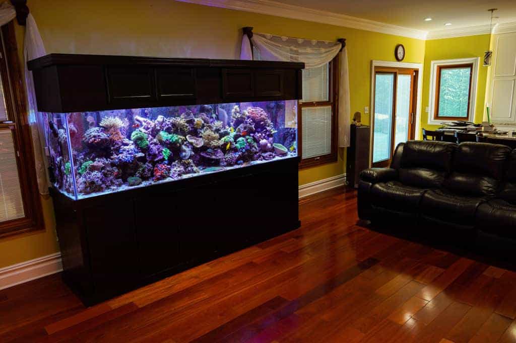 Seachem PolyGuard - Benson's Fish Room